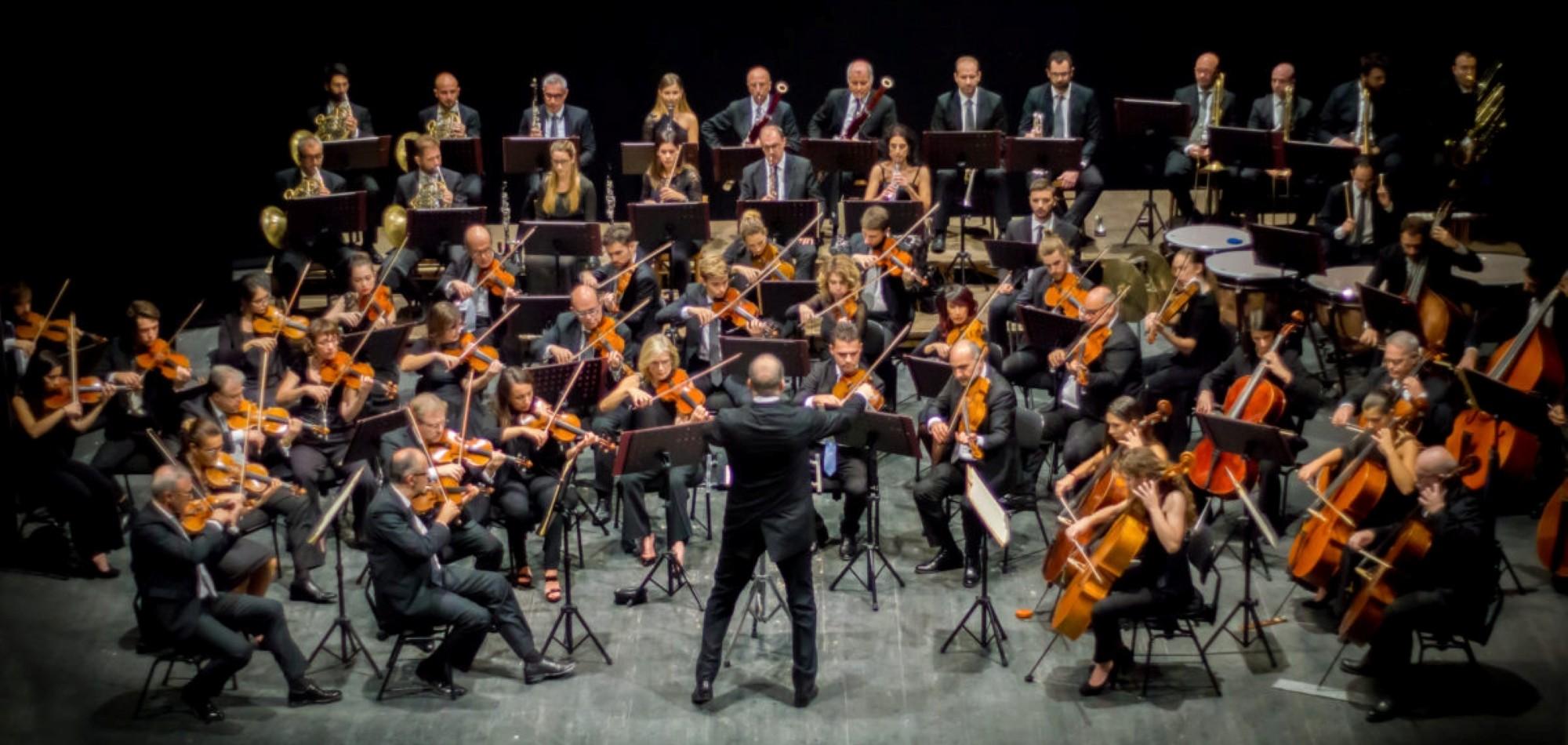 Scopri i confanetti natalizi